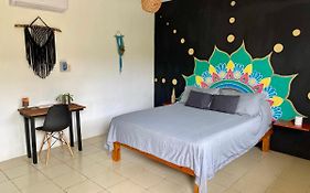 Junglabacalar/ Casa Colibri